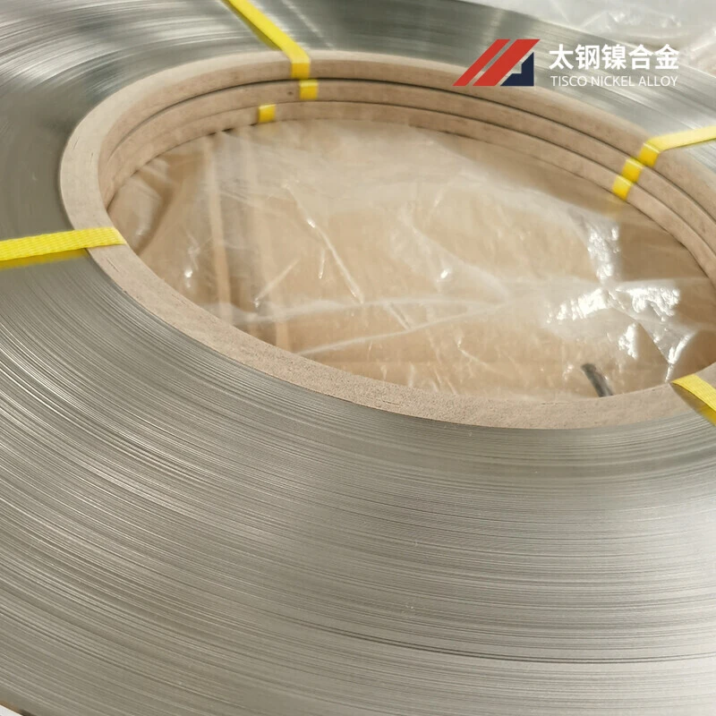 Precision Alloy Steel Strips