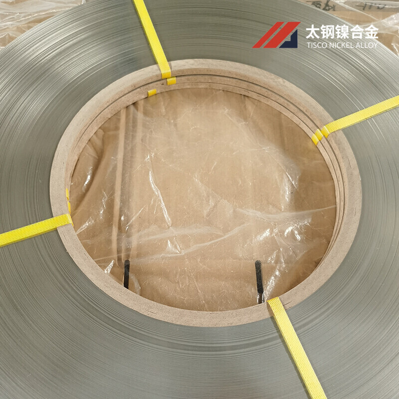 Hastelloy Alloy Strips