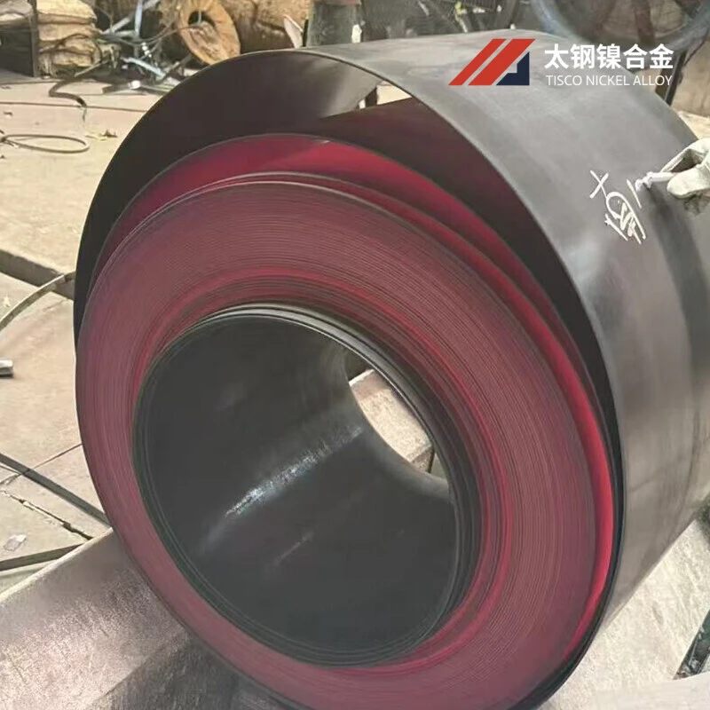 High-Temperature Alloy Steel Strips