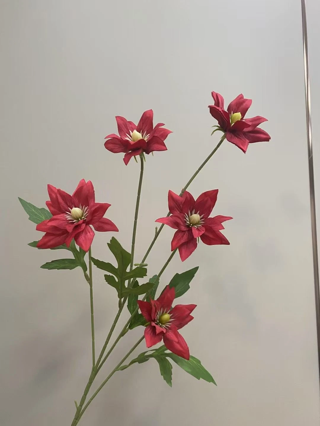 CYS006