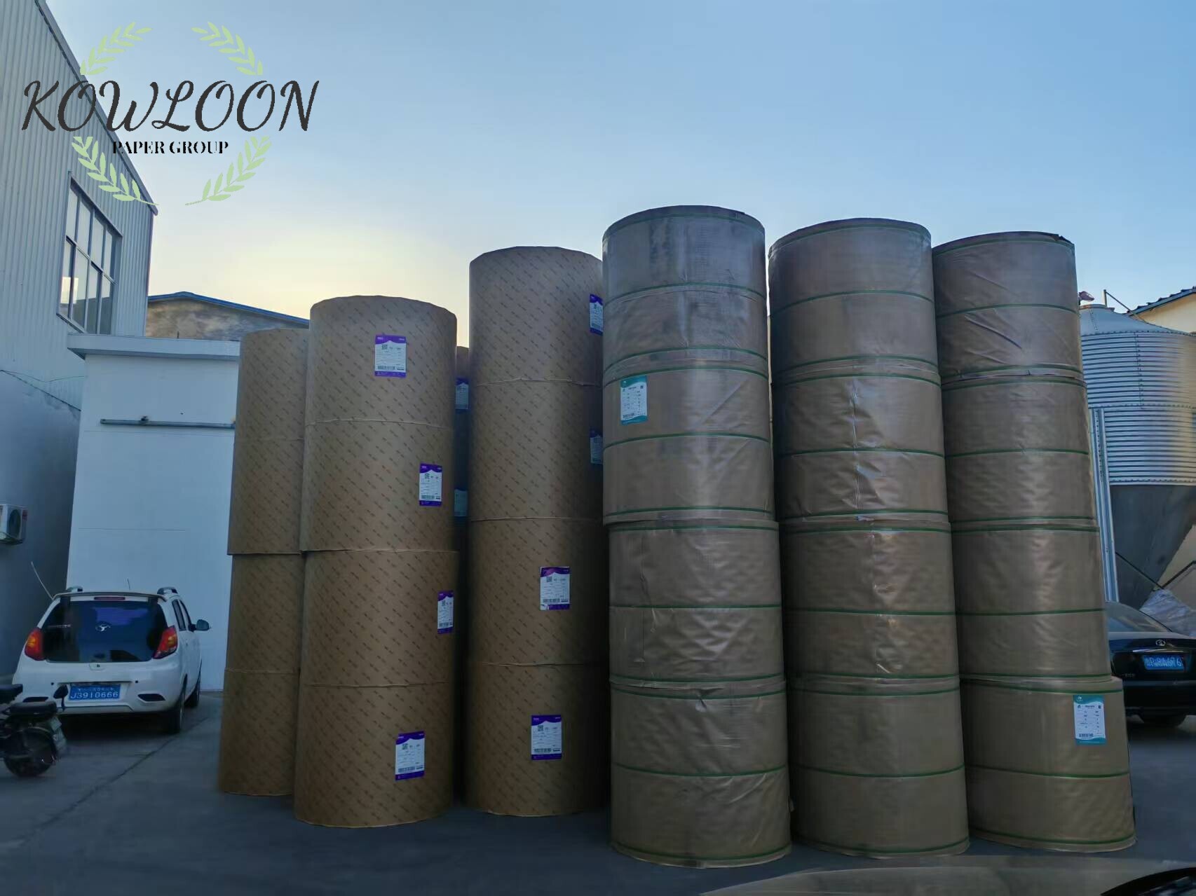 PE/PLA Coated 190-320GSM Kraft Brown Paper Roll	