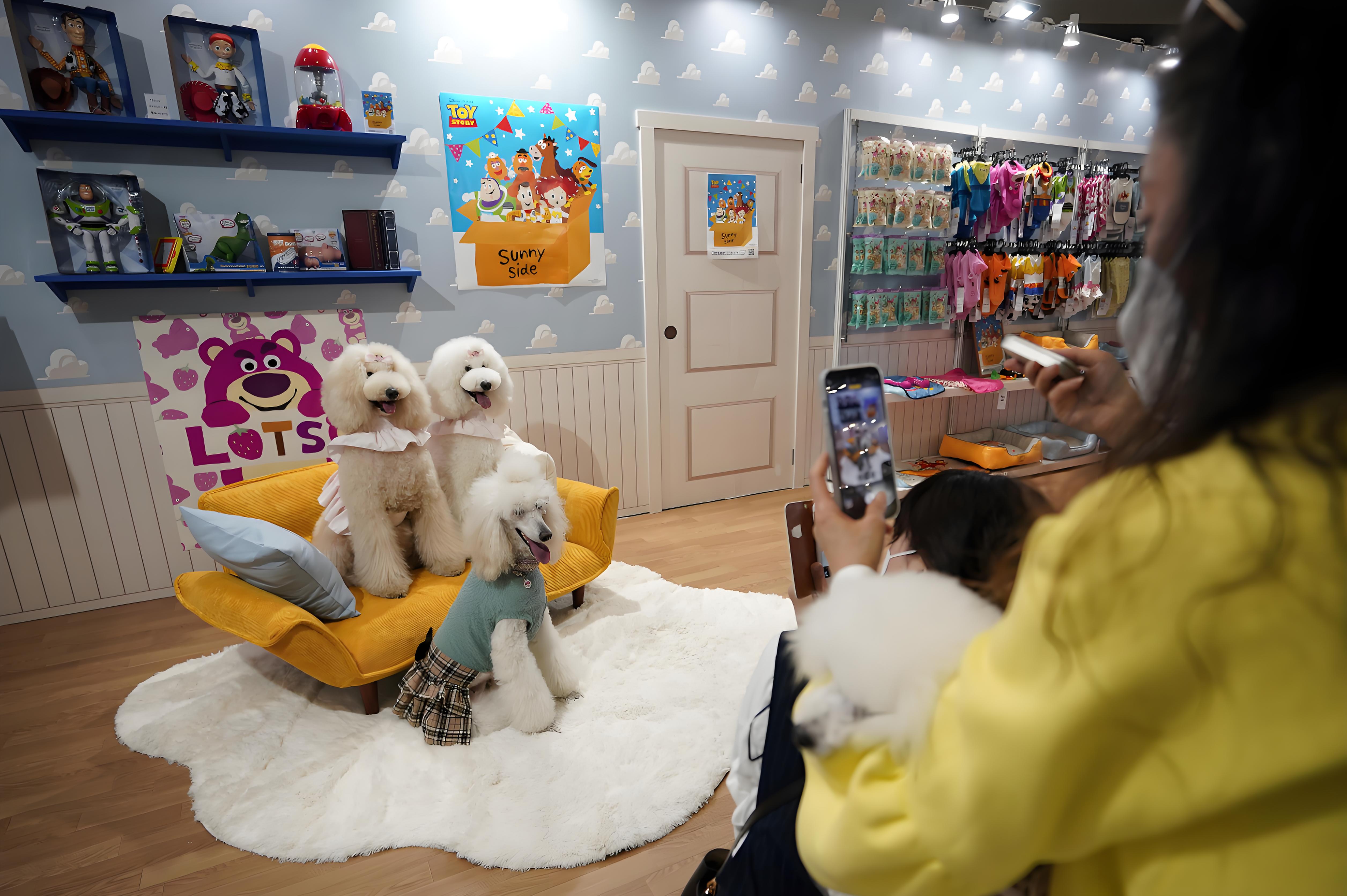 ab6e4baa-0b90-496d-9baa-42feb5555332