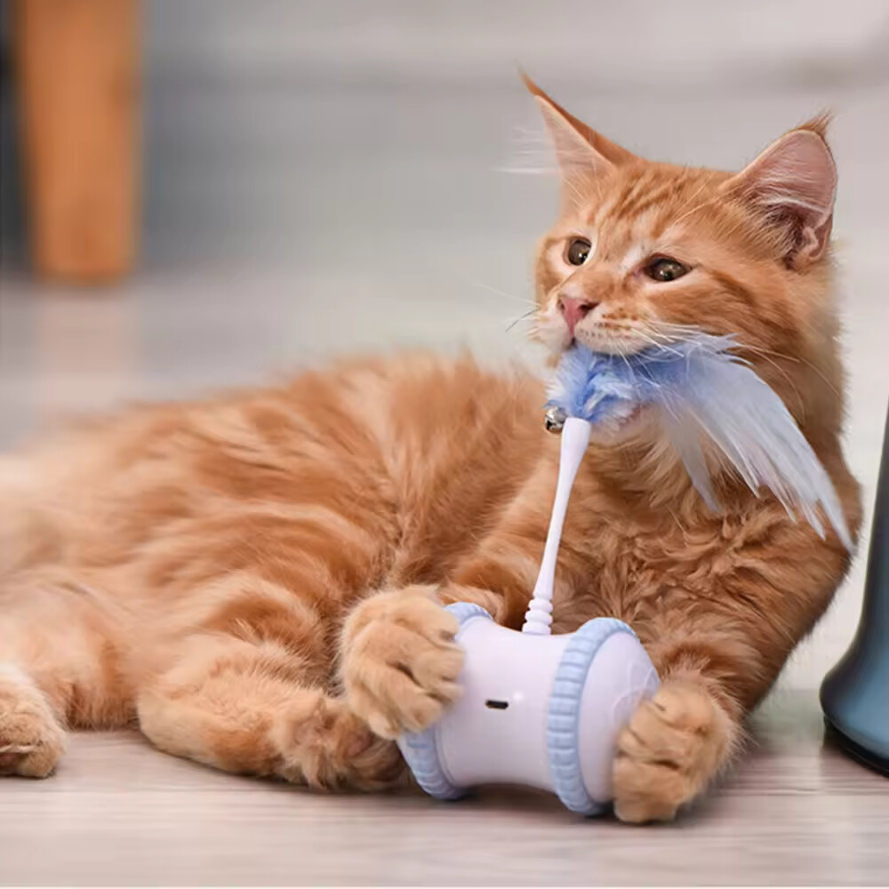 Wholesale Chargeable Smart Automatic Feather Cat Toy Interactive