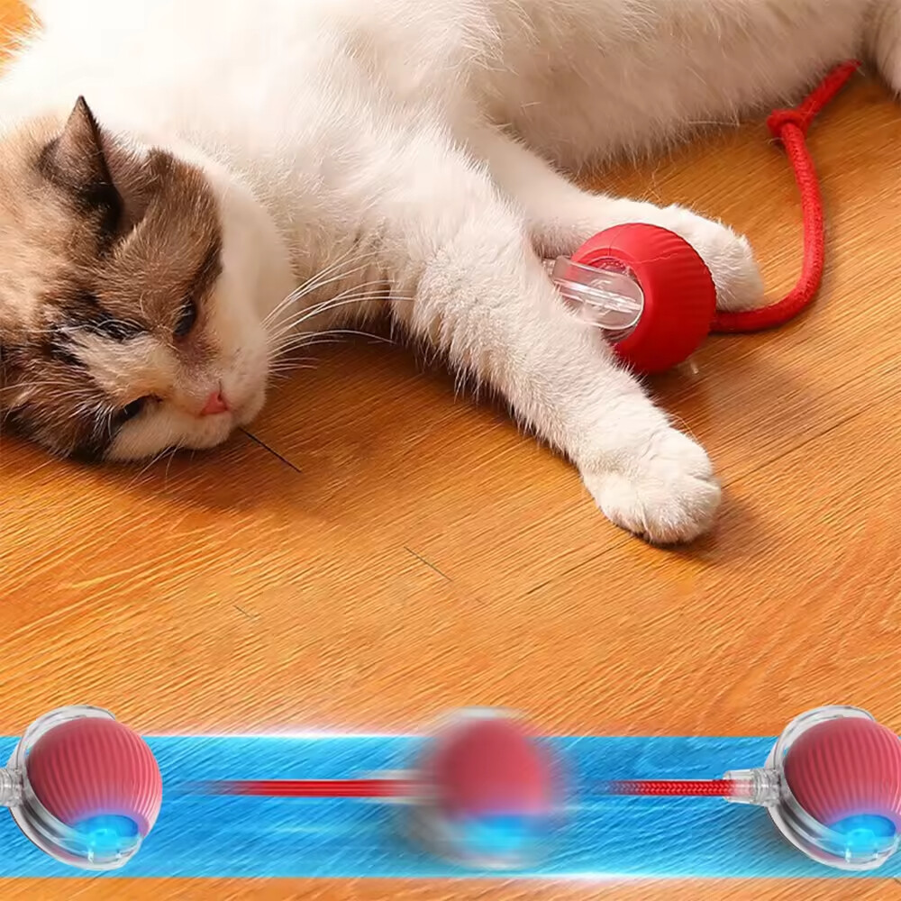 Wholesale Pet Supplier Chargeable Smart Ball Interactive Cat Toy