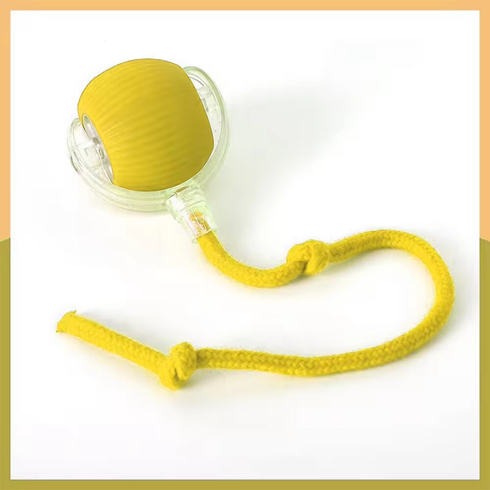 Wholesale Pet Supplier Chargeable Smart Ball Interactive Cat Toy