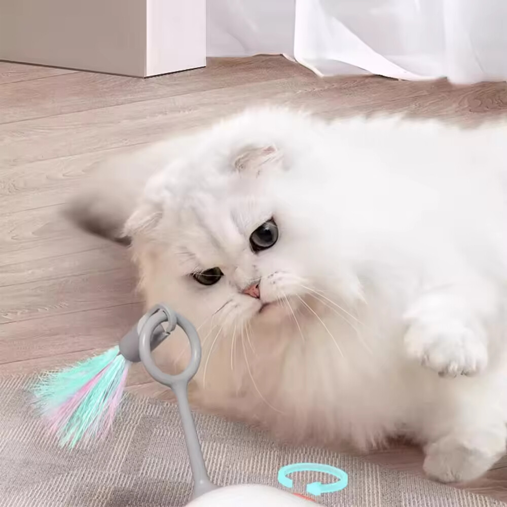 Wholesale Remote Control Cat Smart Toy