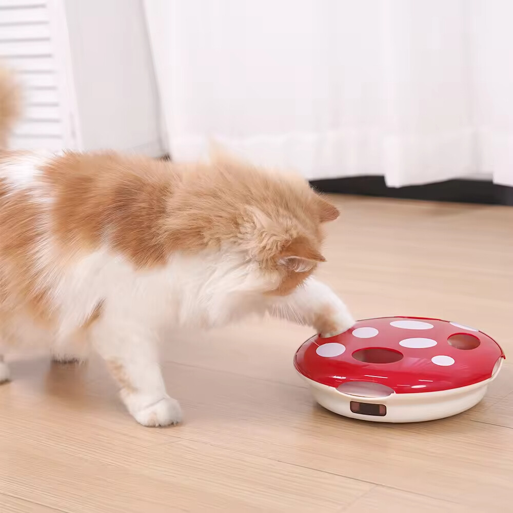 Wholesale Flapping Feather Electric Cat Toy Interactive