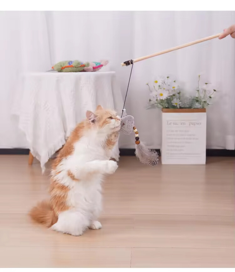 Manufacturer Wholesale Cute Animal Design Cat Teaser Toy
