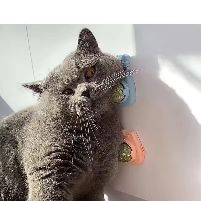 Manufacturer Wholesale Stick on the Wall Self Improvement Cat Catnip Toys