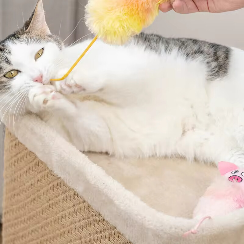 Manufacturer Wholesale Cute Design Plush Cat Stuffed Toy