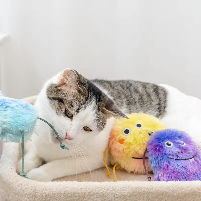 Manufacturer Wholesale Cute Design Plush Cat Stuffed Toy