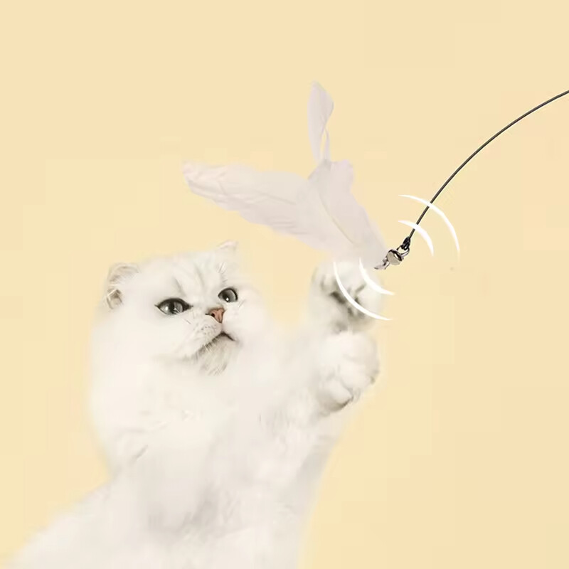 Interactive Cat Feather Teaser Toys