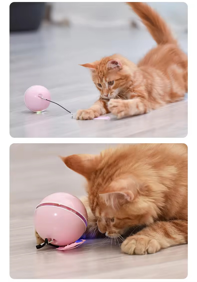 Manufacturer Wholesale Led Smart Cat Laser Ball Toy