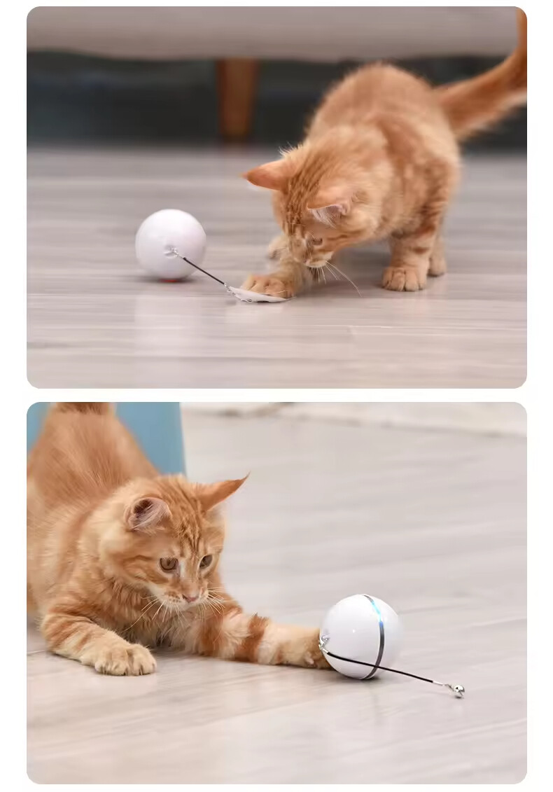 Manufacturer Wholesale Led Smart Cat Laser Ball Toy