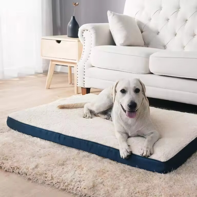 Washable Egg Memory Foam Pet Product Supplier Large Dog Bed Orthopedic