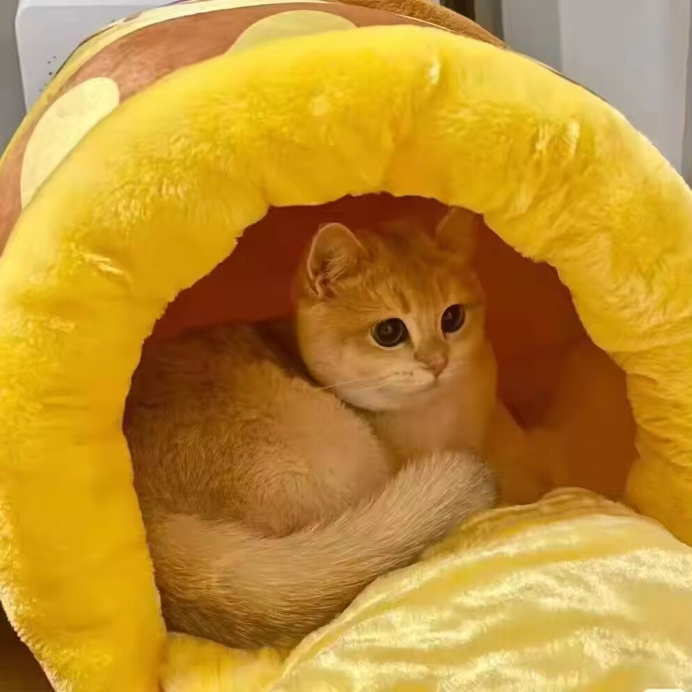 Honey Jar Design Short Plush Cat Cave Beds