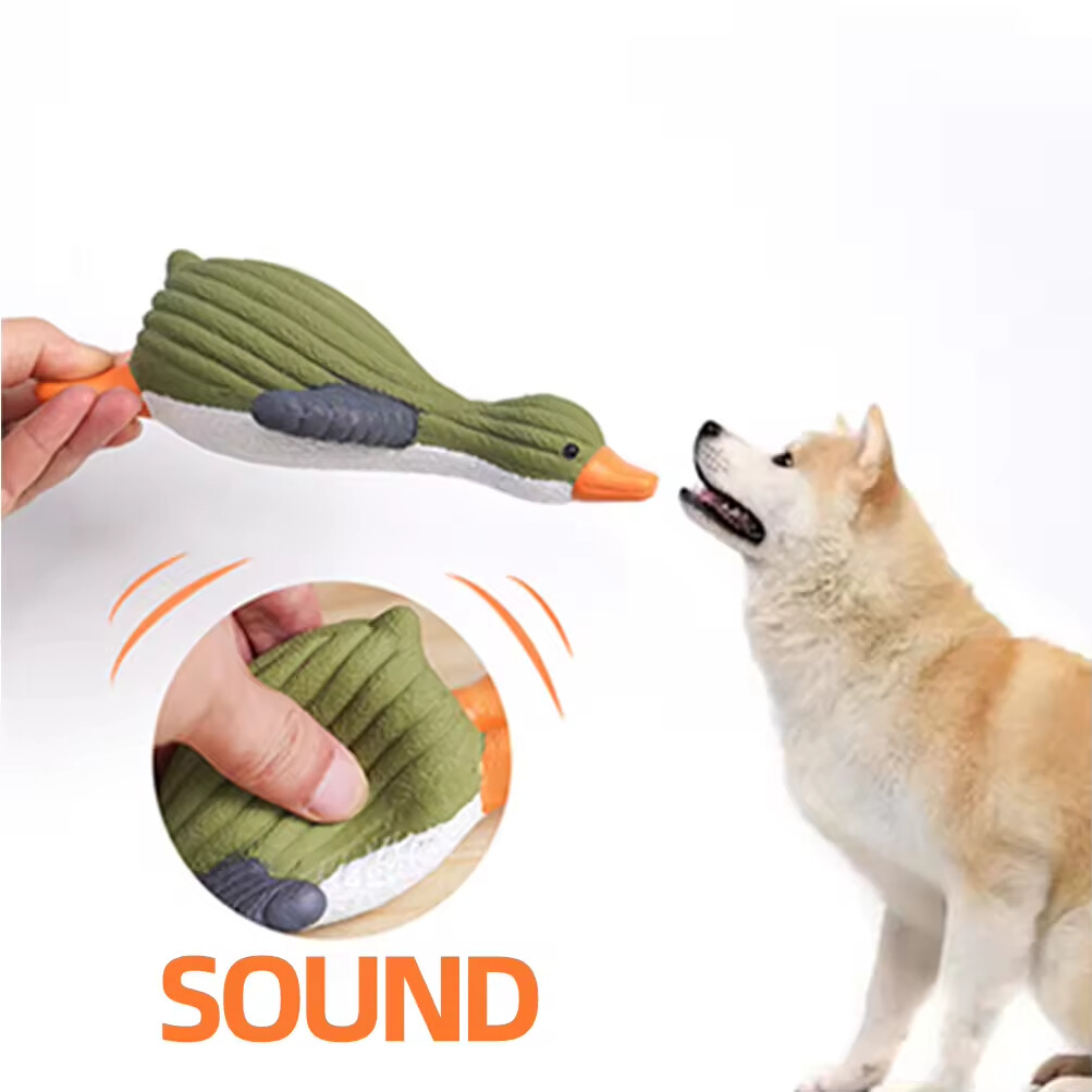 Squeaky Chew Dog Latex Toy