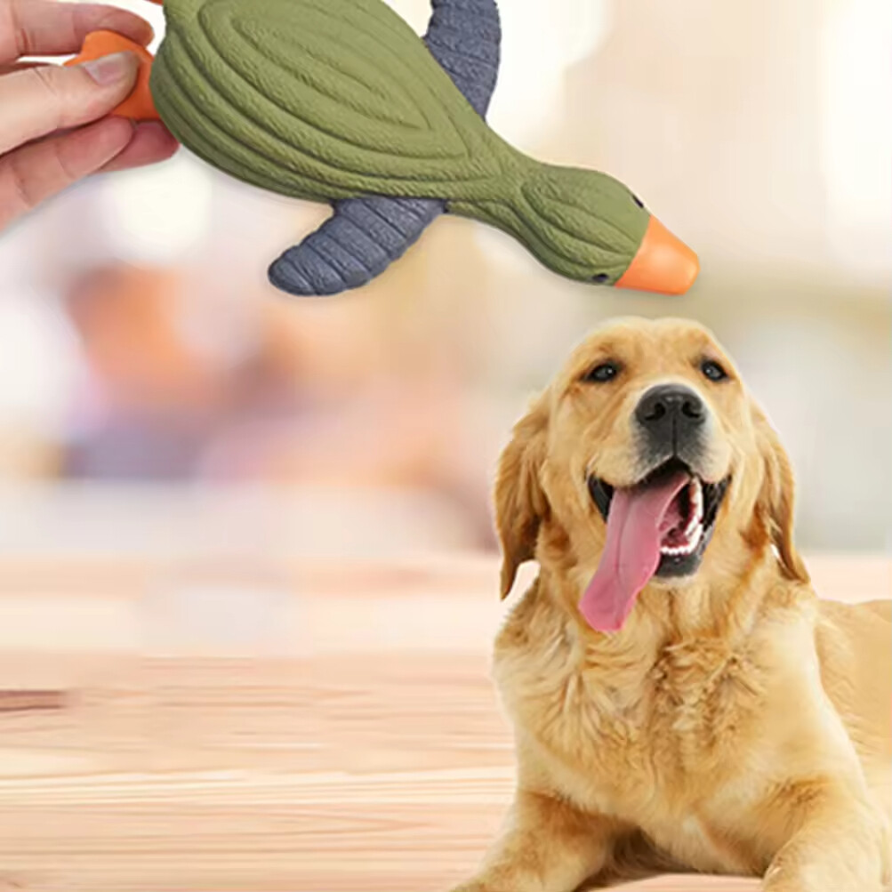 Squeaky Chew Dog Latex Toy