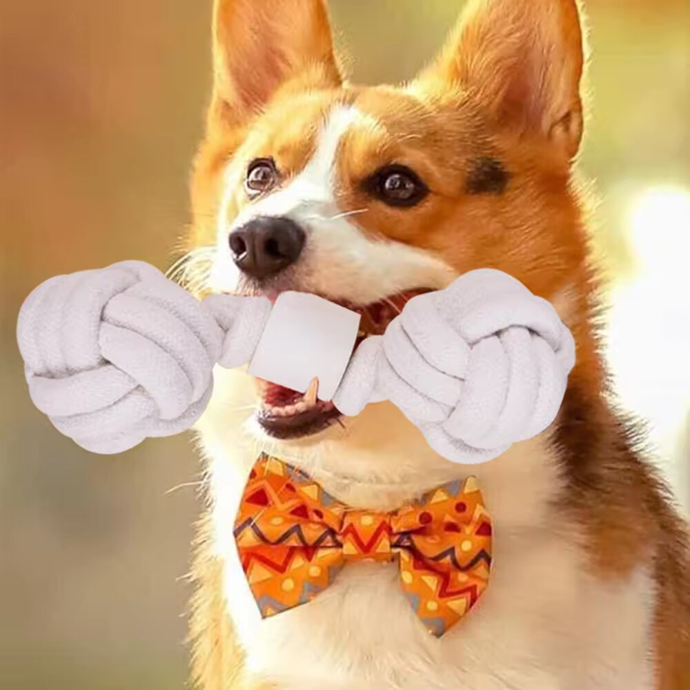 Chew Dog Rope Toys