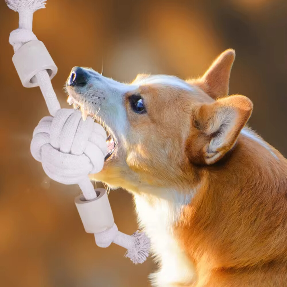 Chew Dog Rope Toys