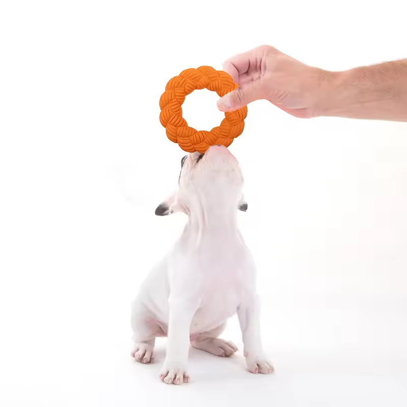 Multi-design Chew Dog Rubber Toys