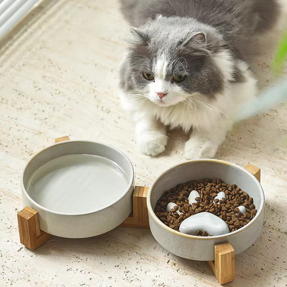 Elevated Slow Feeder Cat Dog Bowl Ceramic
