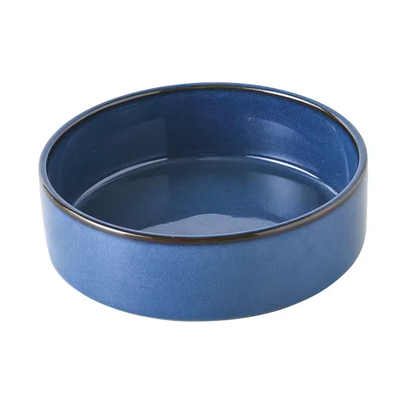 Elevated Slow Feeder Cat Dog Bowl Ceramic