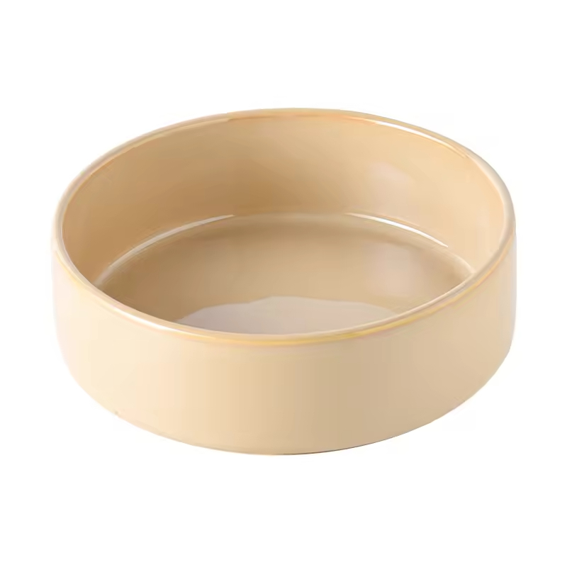 Elevated Slow Feeder Cat Dog Bowl Ceramic