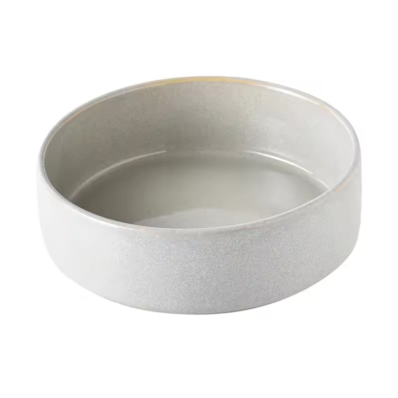 Elevated Slow Feeder Cat Dog Bowl Ceramic