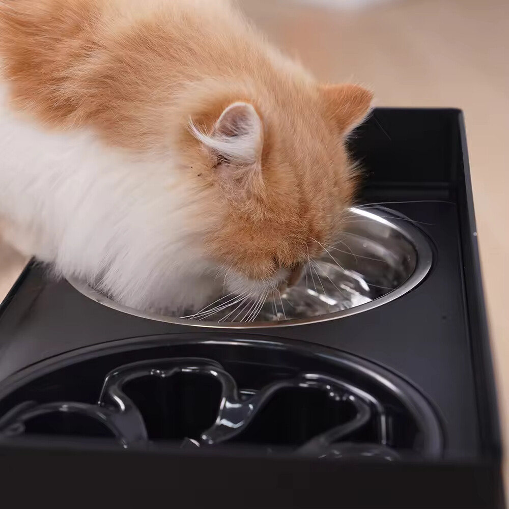 Foldable Slow Feeder Stainless Steel Dog Elevated Bowl