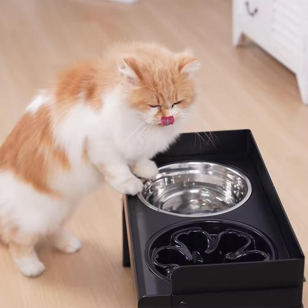 Foldable Slow Feeder Stainless Steel Dog Elevated Bowl