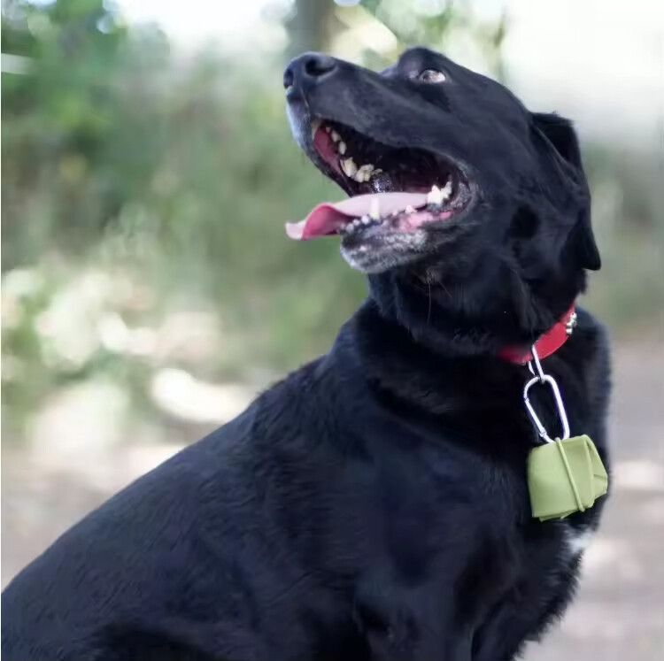 Portable Silicone Collapsible Dog Travel Bowl