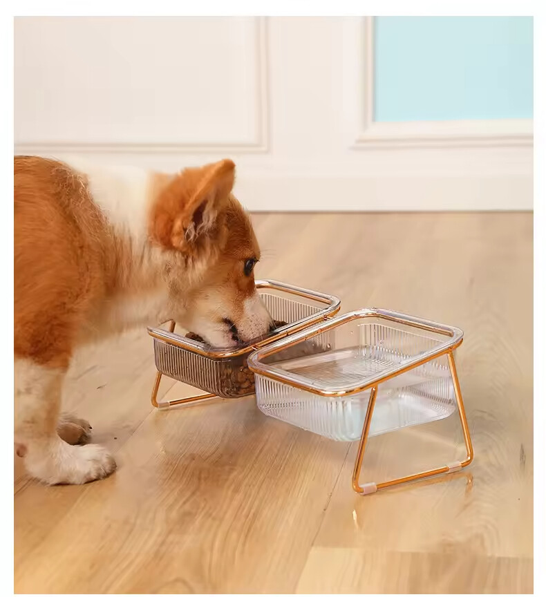 Transparency Bevelled Plastic Cat Pet Dog Two Bowls