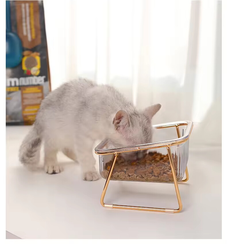 Transparency Bevelled Plastic Cat Pet Dog Two Bowls