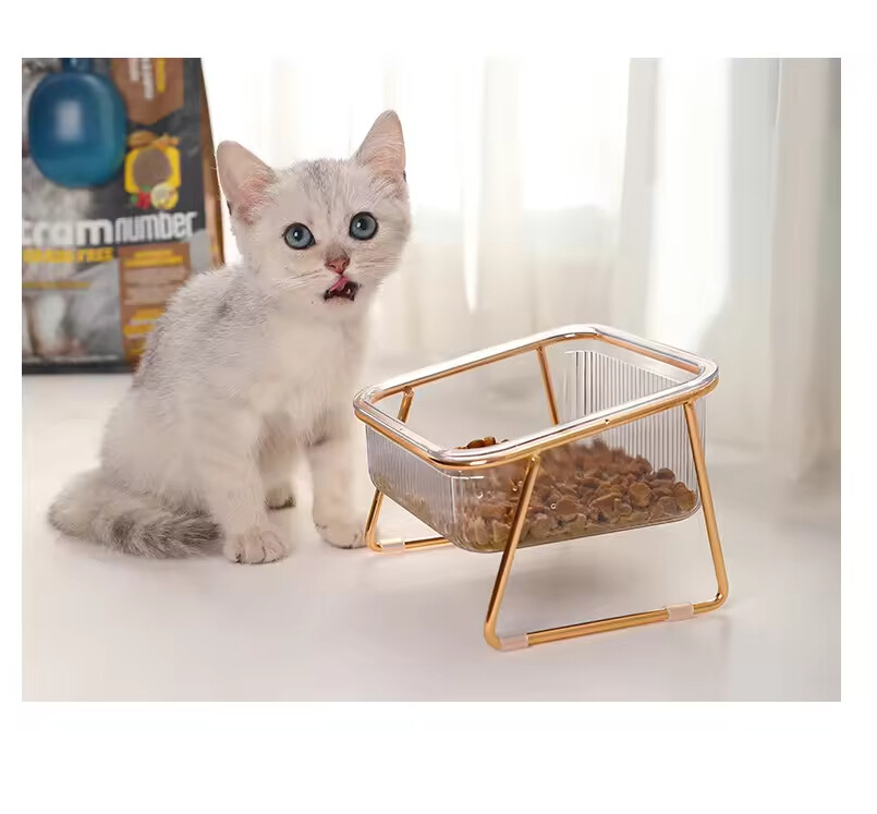 Transparency Bevelled Plastic Cat Pet Dog Two Bowls