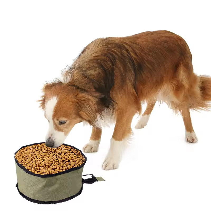 Foldable Carrier Outdoor Dog Travel Bowl