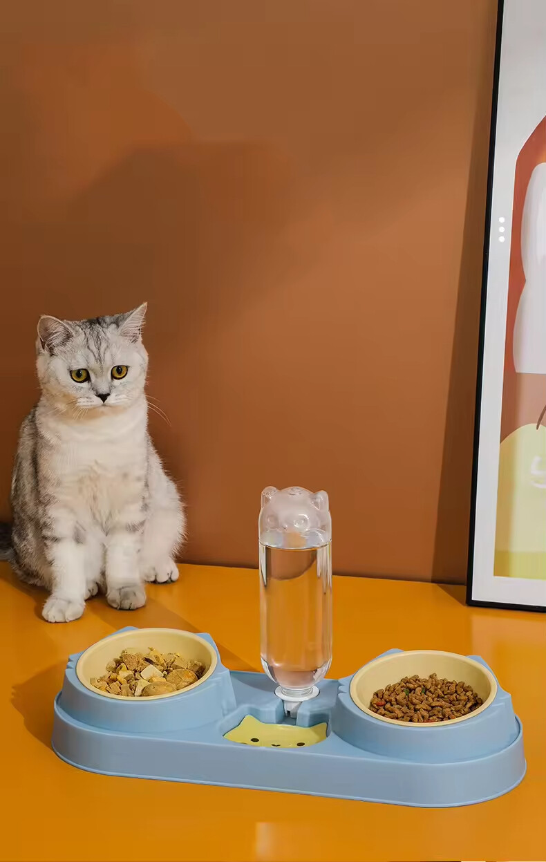 Plastic Dog Two Bowls with Water Bottle Dispenser
