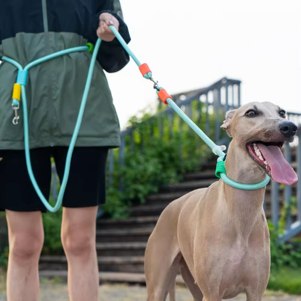 Adjustable Rope Dog Collar and Leash Set