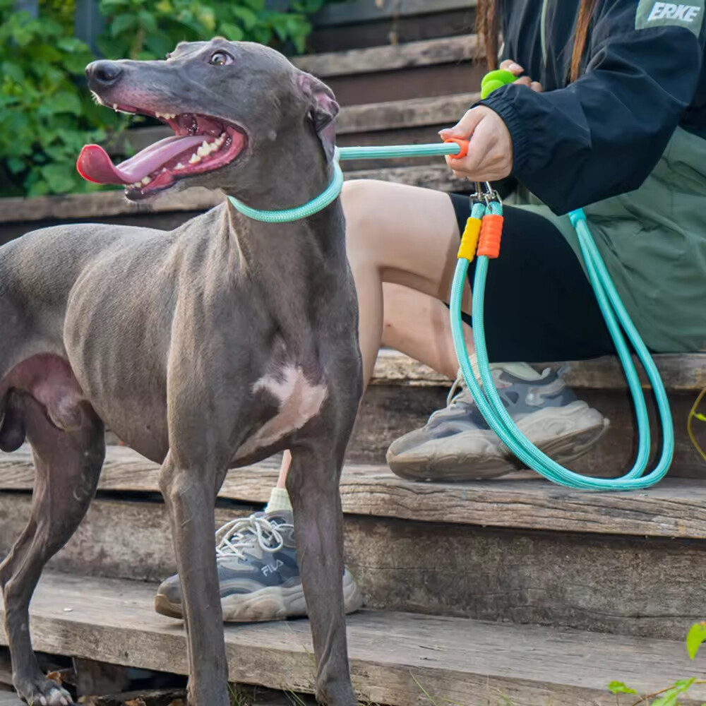 Adjustable Rope Dog Collar and Leash Set