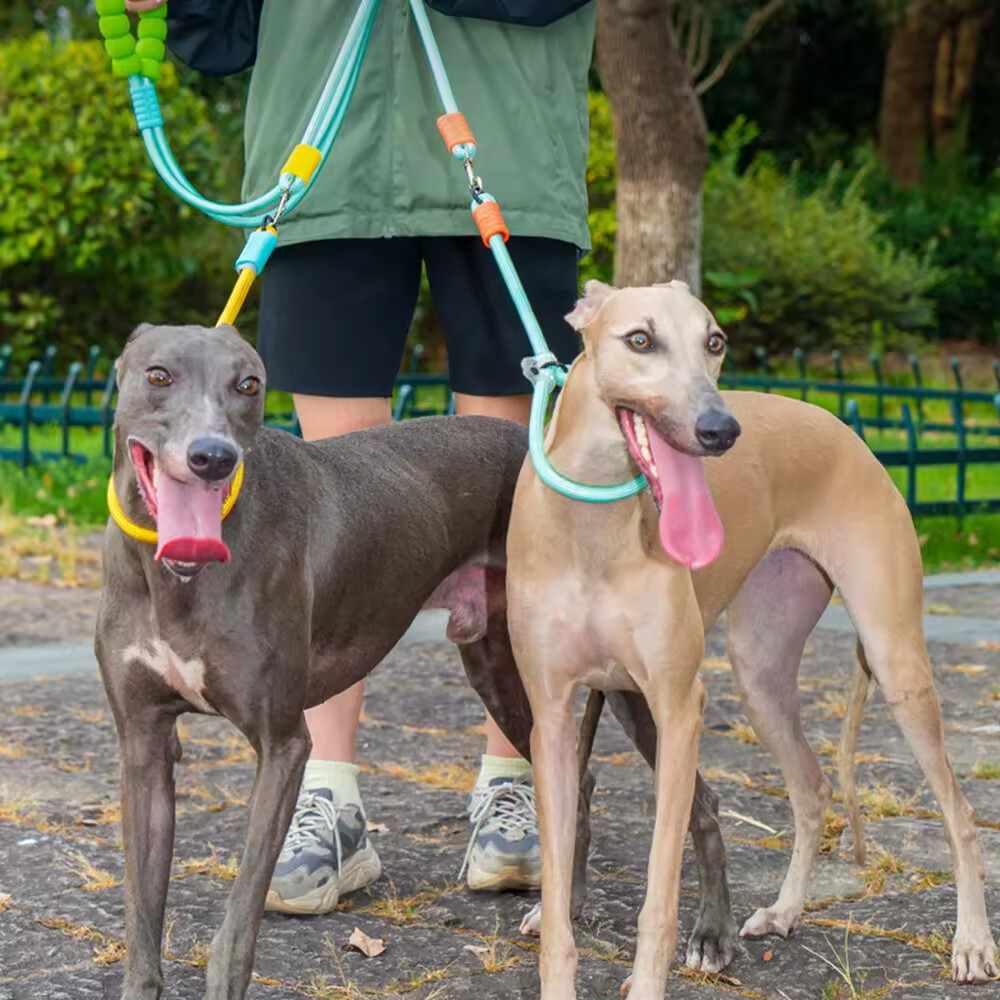 Adjustable Rope Dog Collar and Leash Set