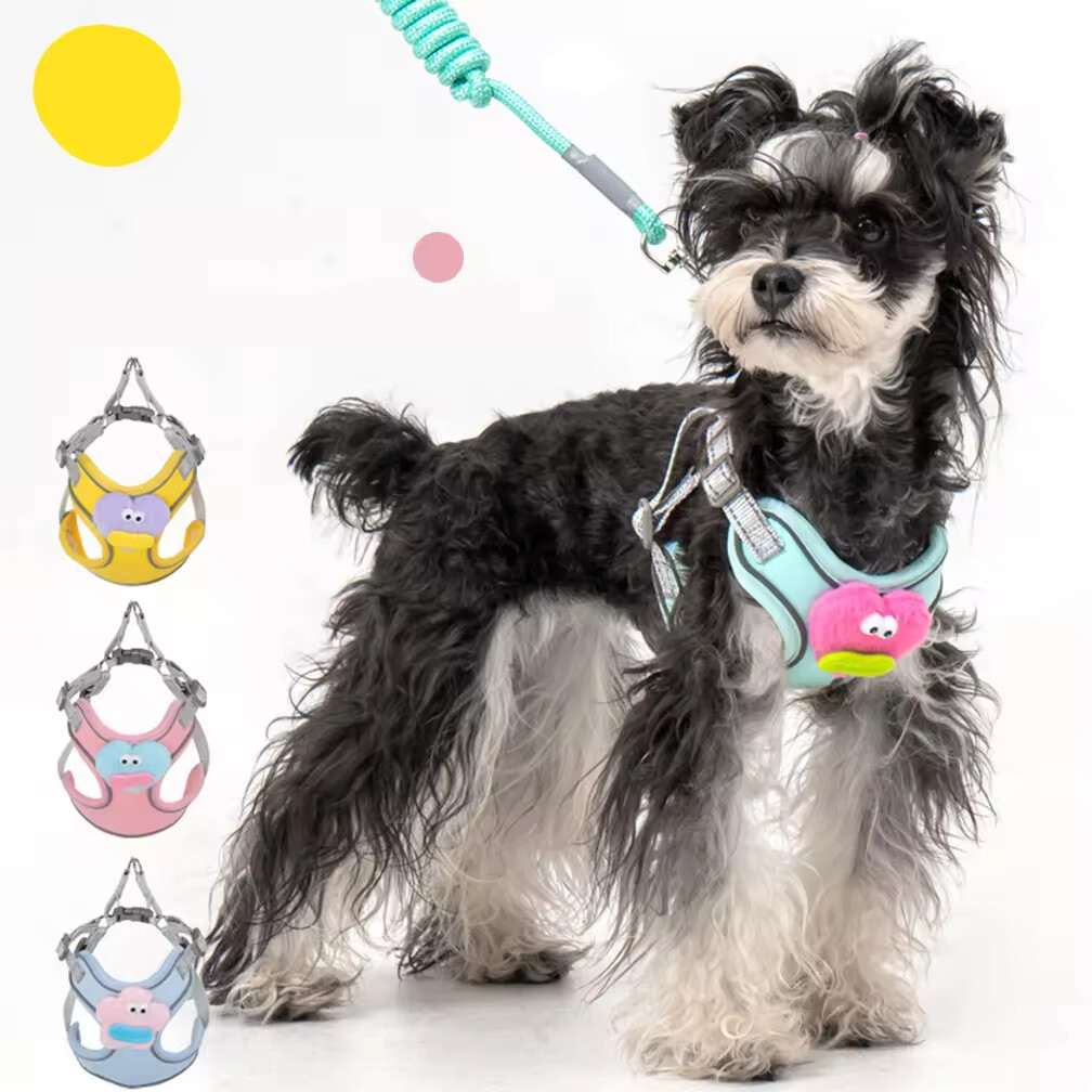 Cheap Cute Breathable Dog Harness and Leash Set