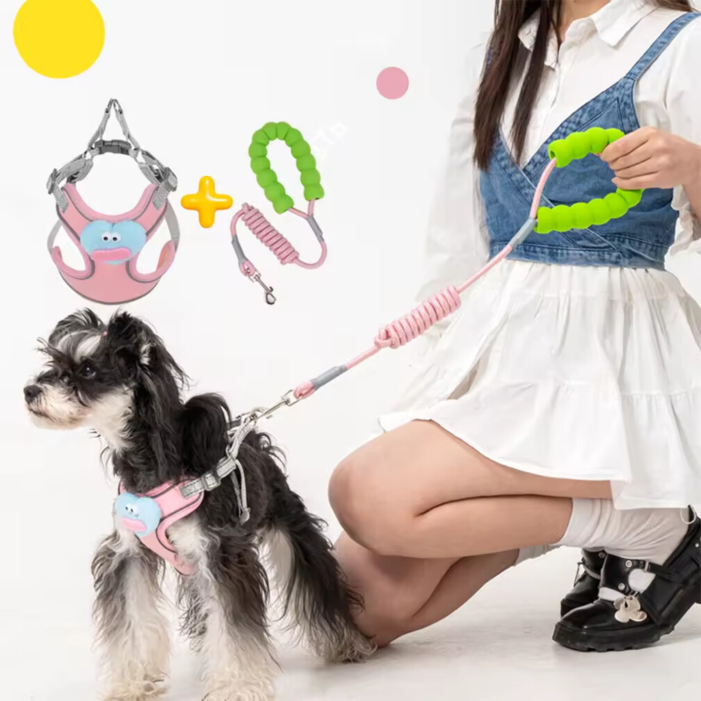 Cheap Cute Breathable Dog Harness and Leash Set