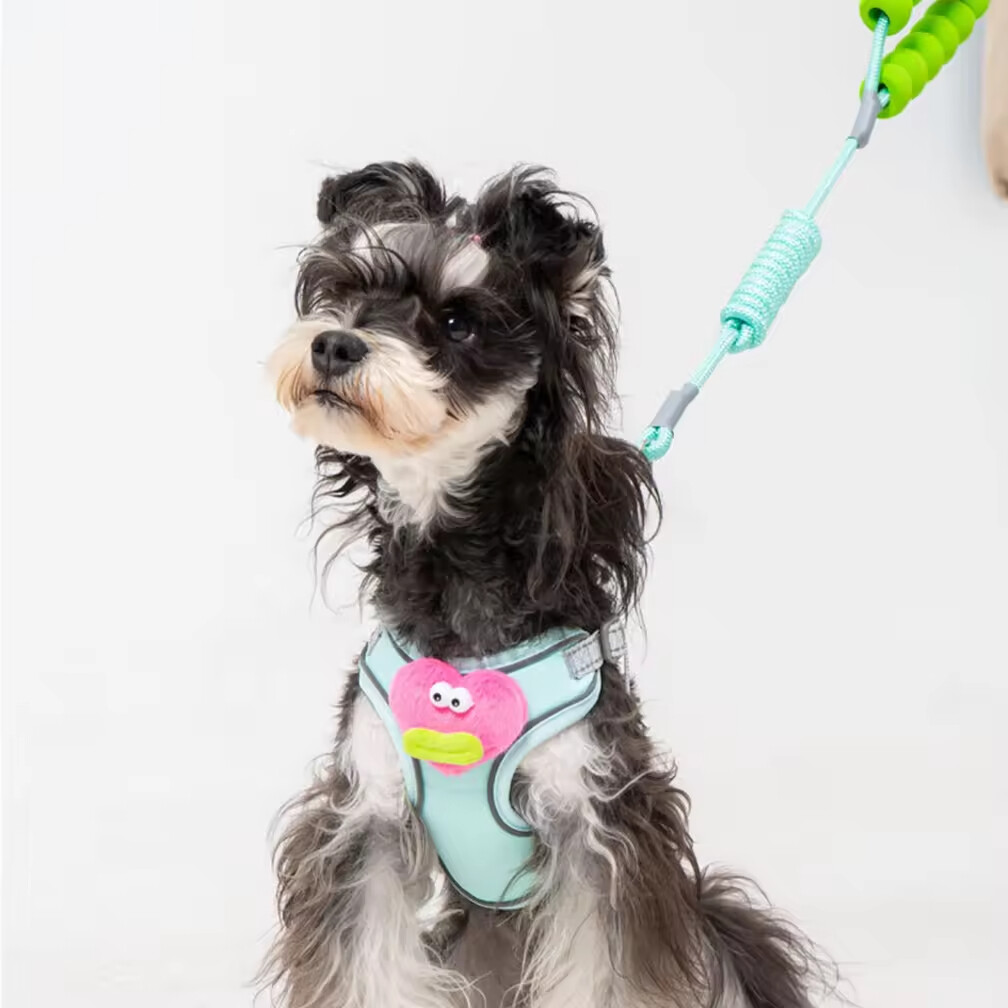 Cheap Cute Breathable Dog Harness and Leash Set