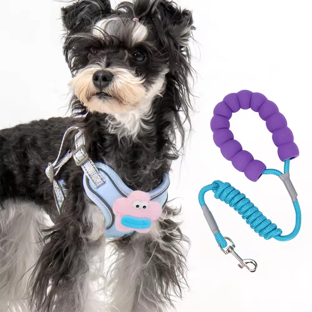 Cheap Cute Breathable Dog Harness and Leash Set