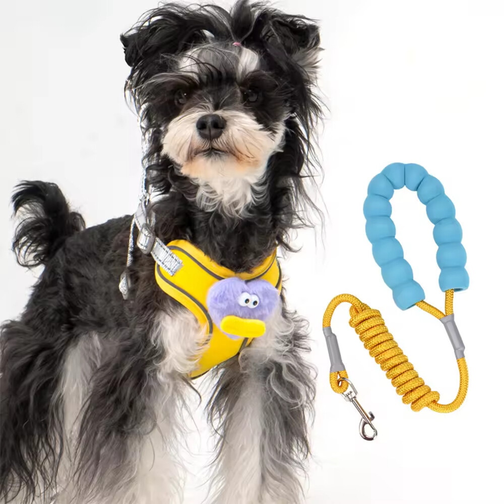 Cheap Cute Breathable Dog Harness and Leash Set