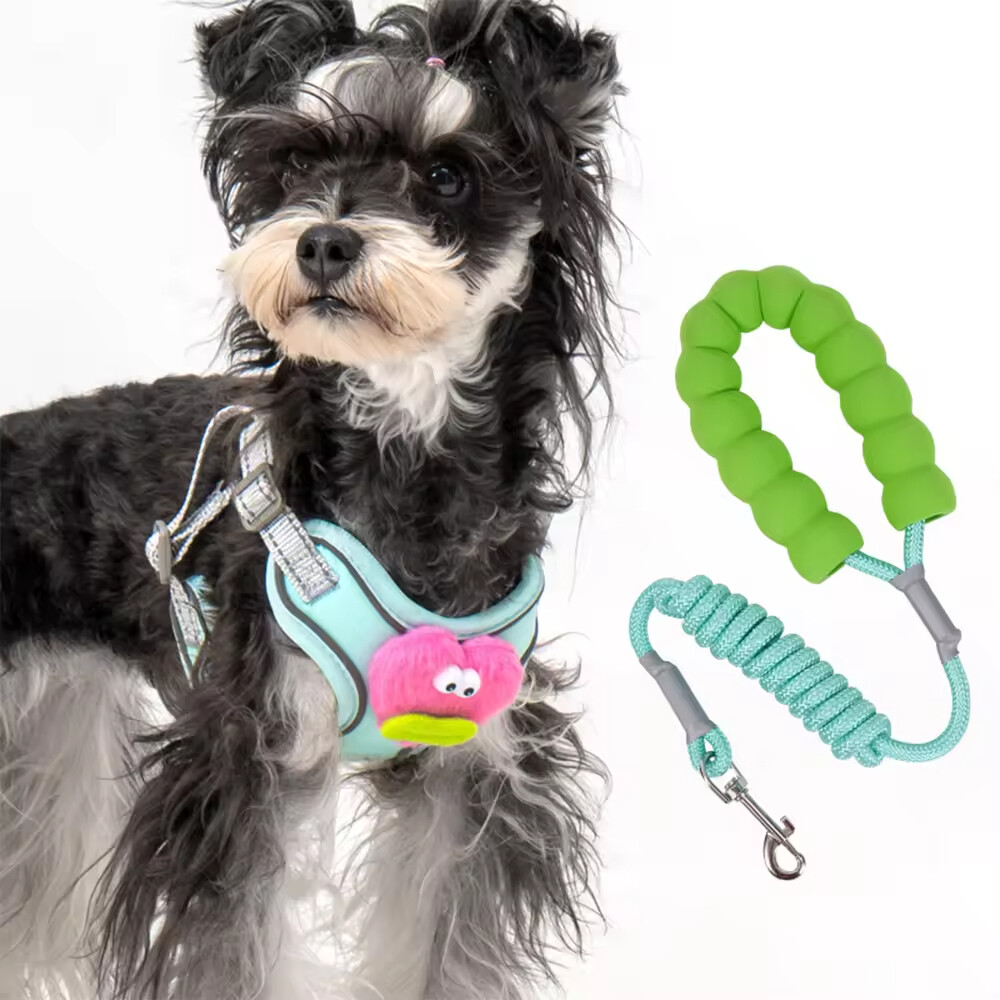 Cheap Cute Breathable Dog Harness and Leash Set