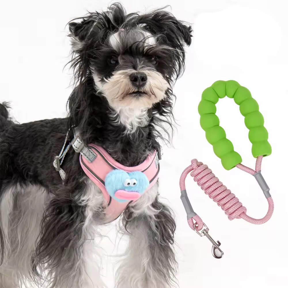 Cheap Cute Breathable Dog Harness and Leash Set