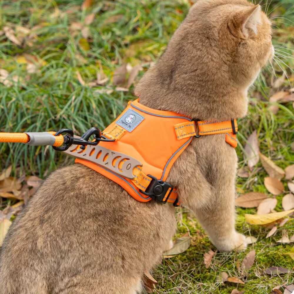 Breathable Pet Harness