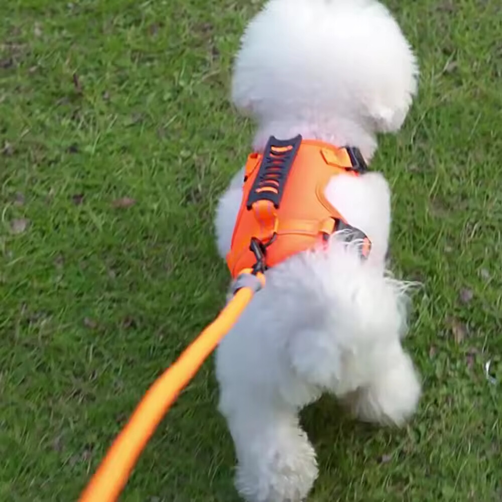 Breathable Pet Harness