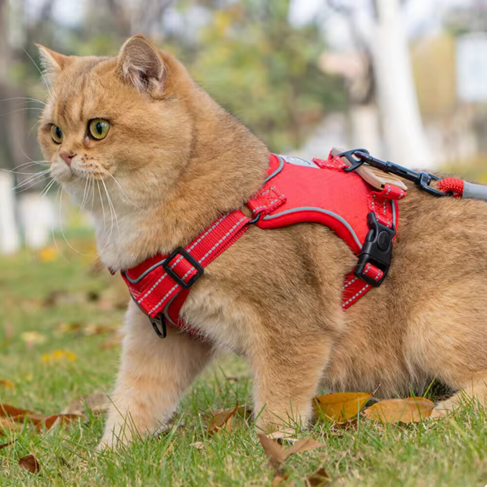 Breathable Pet Harness